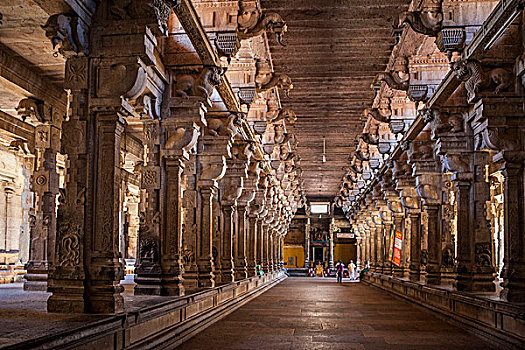 印度,泰米尔纳德邦,庙宇,湿婆神,内景
