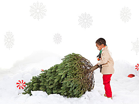 男孩,4-5岁,拉拽,圣诞树