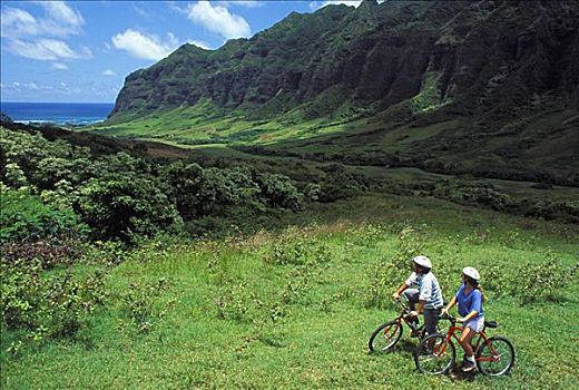夏威夷,瓦胡岛,伴侣,山地车,生态游