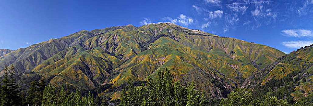 全景,海岸山脉,大,加利福尼亚,美国