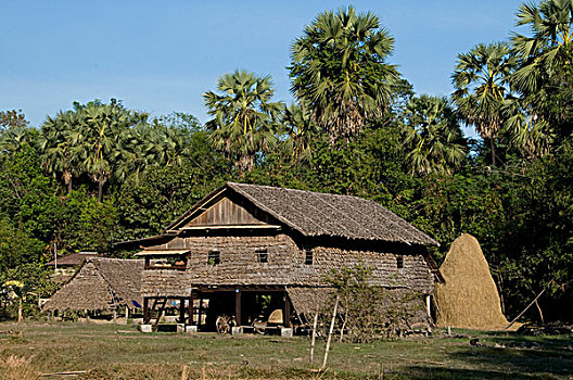 缅甸,房子,建造,天然材料,围绕,棕榈树