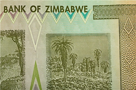 津巴布韦,美元,货币