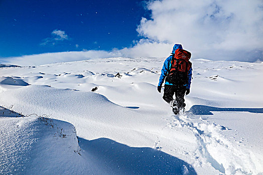 背面视角,登山,攀登,雪,山