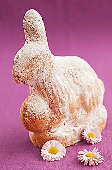 烘制,复活节兔子,糖粉