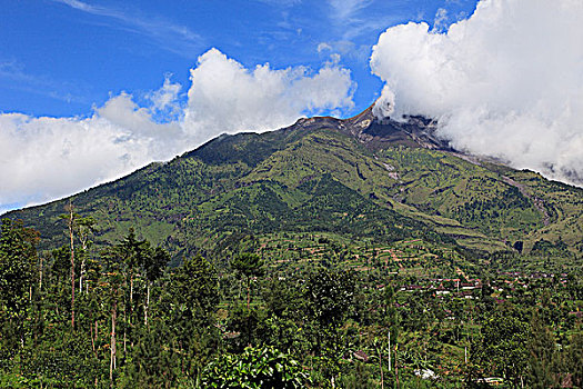 印度尼西亚,爪哇,火山,热带,植被