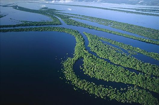 群岛,中间,里奥内格罗,河,公里,宽,亚马逊河,生态系统,巴西