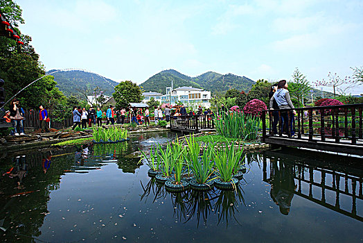 游客,长廊,亭台,水面