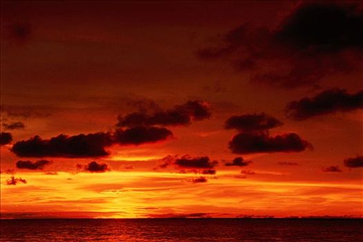 日落,岛屿,沙巴,婆罗洲,马来西亚