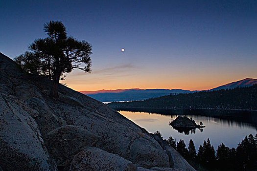 剪影,树,靠近,翡翠湾,太浩湖,加利福尼亚,美国