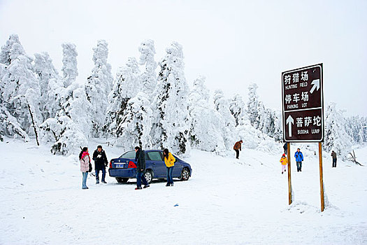 重庆武隆仙女山雪景