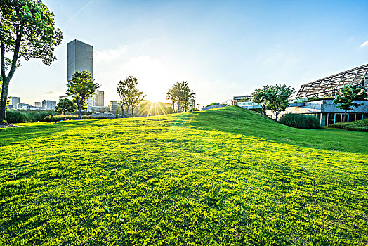 公园绿色草坪