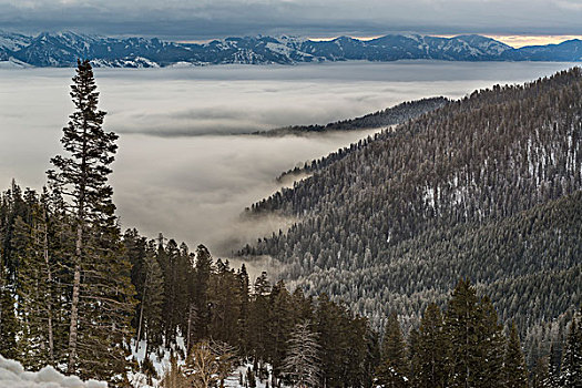 雾,上方,怀俄明,杰克森洞山谷,区域,大幅,尺寸