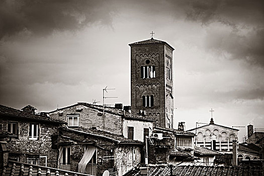 塔,教会,屋顶,古建筑,卢卡,意大利