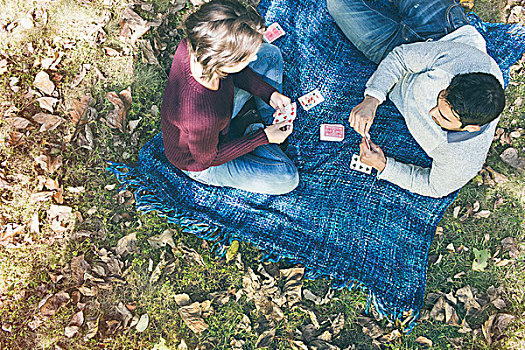 俯视,情侣,纸牌,毯子,树林