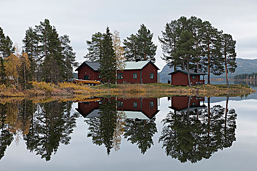 秋景,湖,反射,拉普兰,瑞典,欧洲