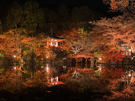 秋季日本京都著名寺庙醍醐寺夜晚红色枫叶景观