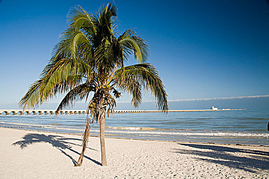 墨西哥,尤卡坦半岛,海滩,英里,长,码头,背景
