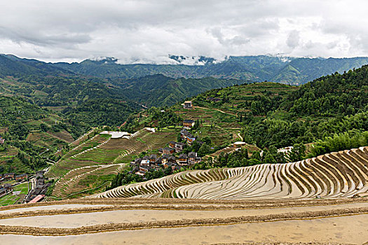 龙脊梯田