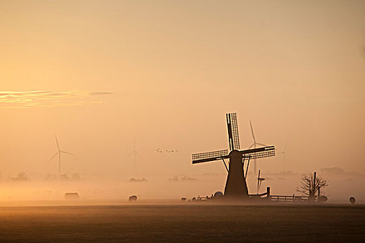 荷兰,风车,晨雾,日出
