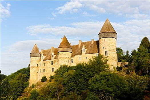 城堡,中心,法国
