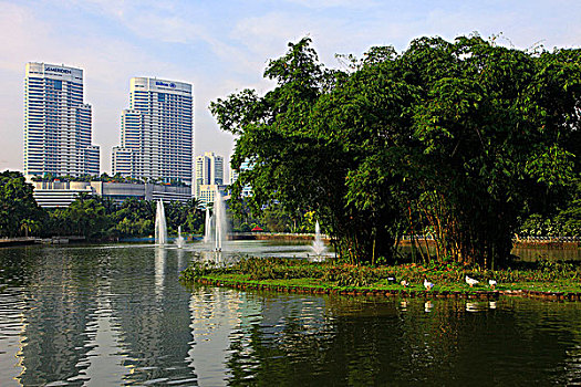 马来西亚,吉隆坡,湖,花园,酒店