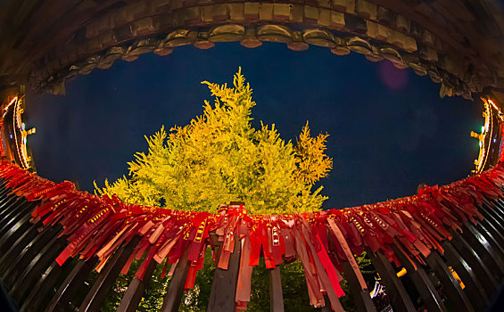 西安古观音禅寺的秋天夜景