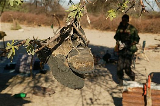鞋,悬挂,防护,害虫,博茨瓦纳,非洲