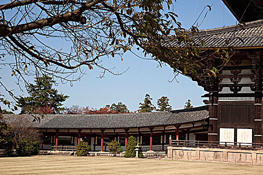 大佛,大厅,东大寺,奈良,日本