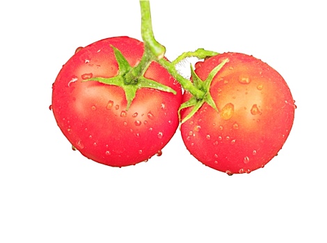 两个,红色,西红柿,隔绝