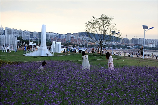 山东省日照市,雨后的海边空气清新,游客漫步海滨徜徉花海感受清凉