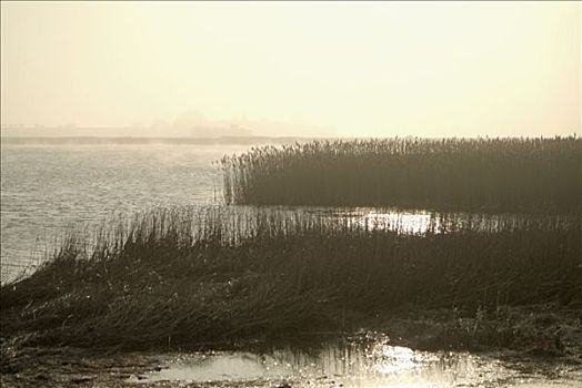 落日,岛屿,波罗的海,丹麦