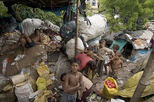 家庭,生活方式,公寓,楼宇,收集,垃圾,销售,再循环,城市,西孟加拉,印度