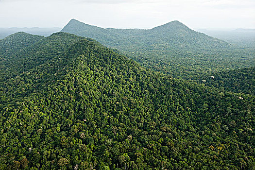 雨林,山,圭亚那