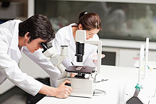 严肃,科学,学生,显微镜