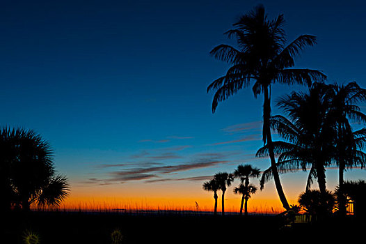 美国,佛罗里达,日落,手掌,海滩,钥匙,大幅,尺寸