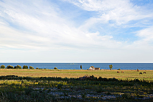 风景,海岸