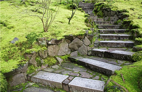 弯曲,花园,石头,楼梯