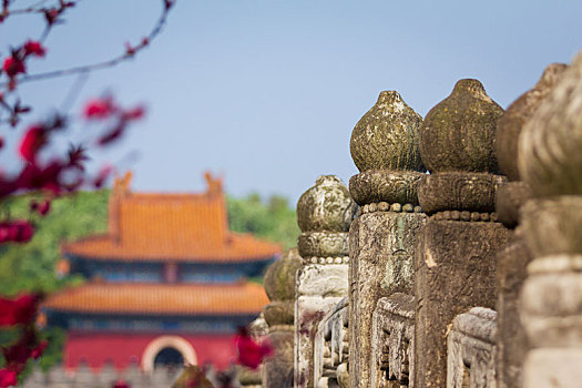 晴日里的湖北钟祥明显陵景区