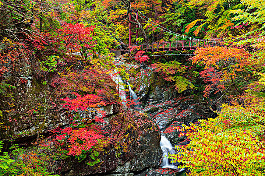 山谷,秋天