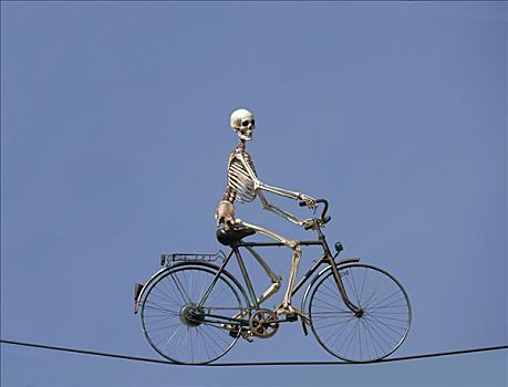 骨骼,骑自行车,线,线缆