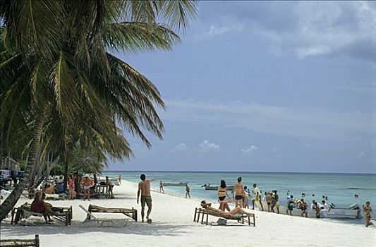 棕榈海滩,加勒比海,多米尼加共和国