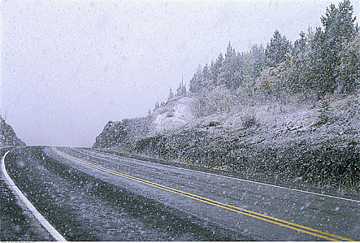 道路,晚秋,下雪