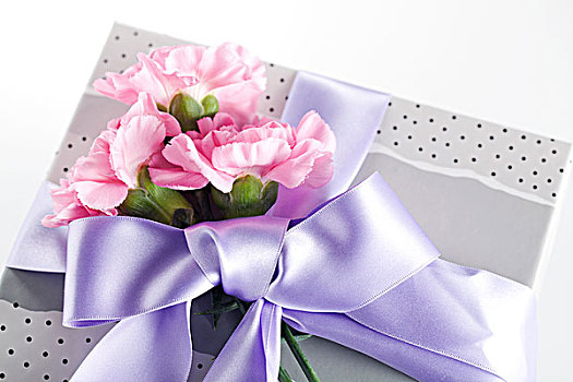 包装,礼盒,粉色,康乃馨,花