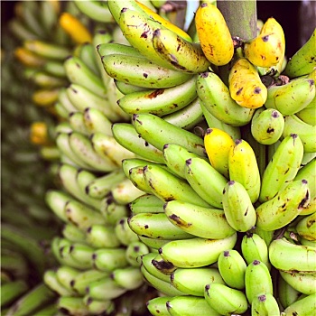 香蕉串,拉丁美洲,街边市场,厄瓜多尔,省