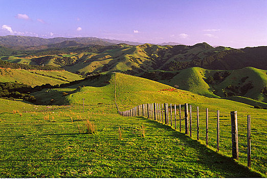 地点,栅栏,科罗曼德尔,半岛,新西兰