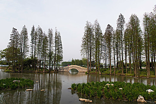 邛海湿地