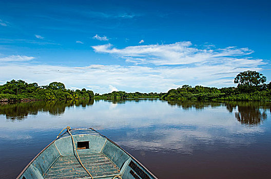 船,河,围绕,树,潘塔纳尔,世界遗产,南马托格罗索州,巴西,南美