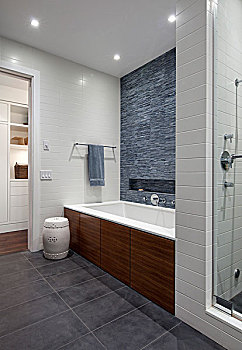 浴室,蓝色,瓷砖墙壁,风景,走廊,纽约,美国