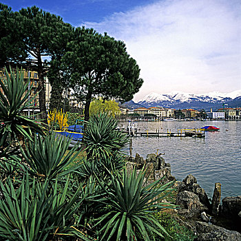 卢加诺,湖,瑞士