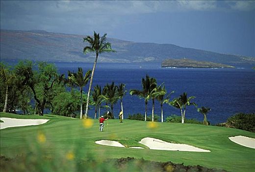 夏威夷,毛伊岛,高尔夫球场,两个男人,洞,风景,沙坑,手掌,海洋,背景